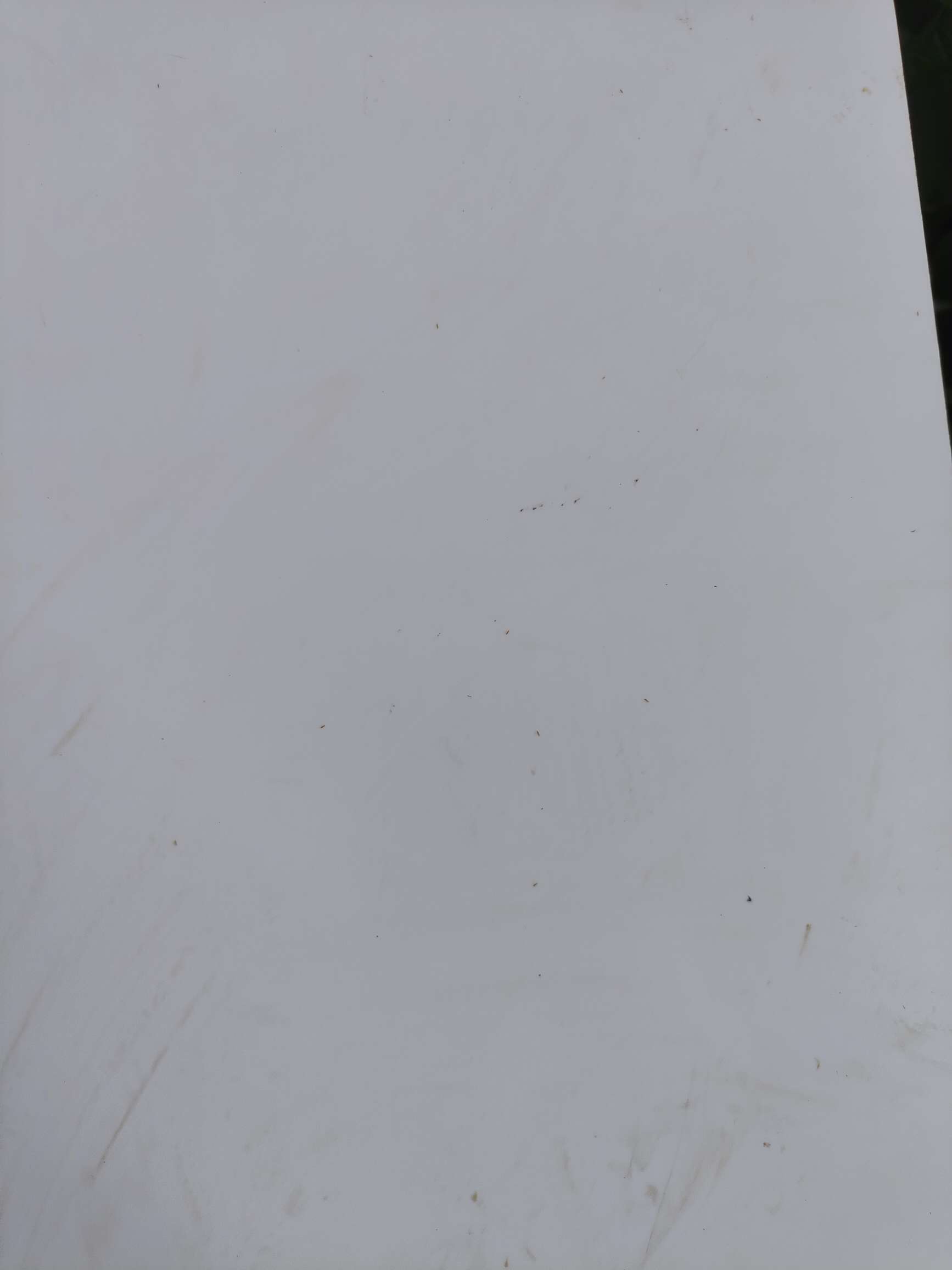 http://st-static1.hookdll.com/forums/2025/08/18/17555288245629.jpeg
