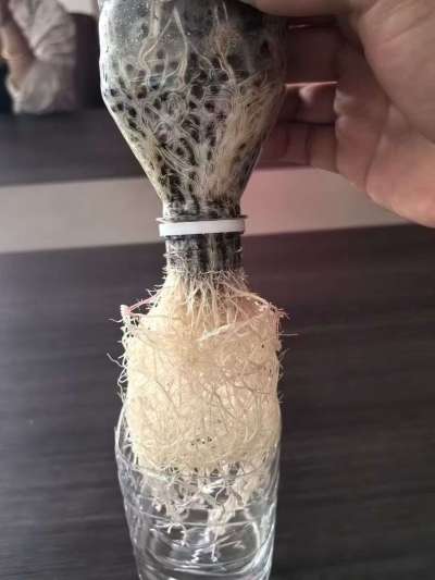 年销售量三十万吨的有机肥生产厂家，全国网点发货，资质齐全，正品保障！有机肥、生物菌肥、微生物肥料等
