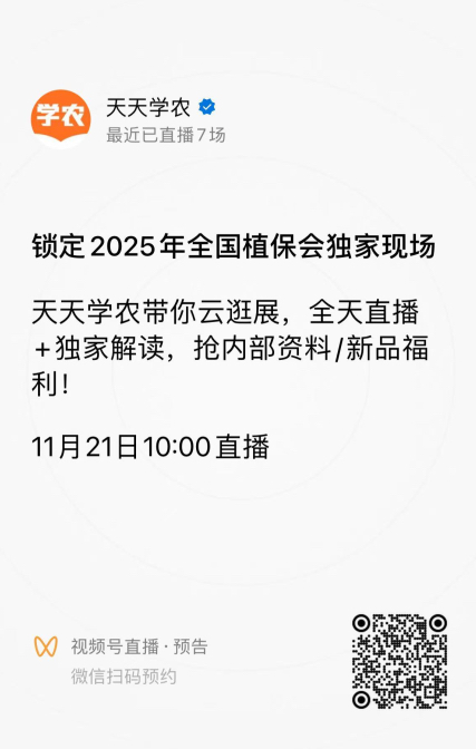 http://st-static1.hookdll.com/forums/2025/11/18/17634292668744.png
