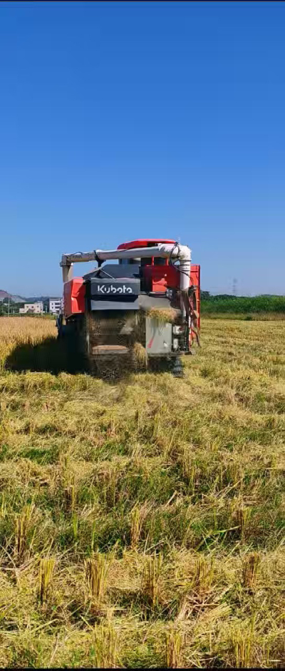 惠州基地，无人拖拉机收水稻了。