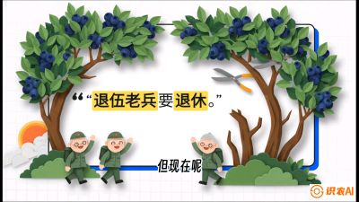 第7节：修剪决定产量（下）&mdash;&mdash;结果树的更新与疏果，课程：《蓝莓&ldquo;高产&rdquo;实战课：从选苗到丰收的10个关键点》