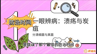 第三节：细菌与真菌&mdash;&mdash;溃疡病与炭疽病，课程：《柑橘十大病虫害：从入门到精通》