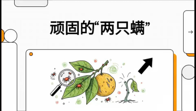 第二节：顽固&ldquo;两只满&rdquo;&mdash;&mdash;红蜘蛛与锈壁虱,课程：《柑橘十大病虫害：从入门到精通》
