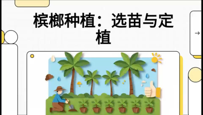 第01节：选苗与定植&mdash;&mdash;&ldquo;苗好一半收，底肥定千秋&rdquo;课程：《槟榔种植：从不懂到精通的10堂必修课》