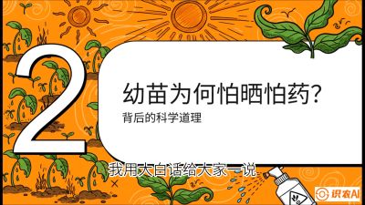 第02节：幼树管理&mdash;&mdash;&ldquo;防晒又防草，树势起得早&rdquo;，课程：《槟榔种植：从不懂到精通的10堂必修课》