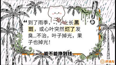 第05节：常见真菌病害&mdash;&mdash;&ldquo;炭疽与烂心，早防值千金&rdquo;《槟榔种植：从不懂到精通的10堂必修课》