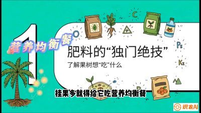 第07节：科学施肥&mdash;&mdash;&ldquo;氮磷钾配好，树壮果不倒