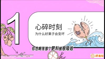 第08节：微量元素与保果&mdash;&mdash;&ldquo;补硼又补钙，果子不裂坏&rdquo;《槟榔种植：从不懂到精通的10堂必修课》