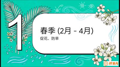 第10节：周年农事日历&mdash;&mdash;&ldquo;跟着节气走，丰产在手头&rdquo;《槟榔种植：从不懂到精通的10堂必修课》