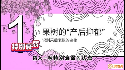 第2节：【冬肥策略】采后&ldquo;月子肥&rdquo;：大小年的精准干预术，课程：《柑橘底肥&ldquo;翻身账&rdquo;：从改土到高产的实战全书》