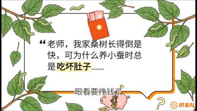 第01节：不仅仅是树&mdash;&mdash;顶级品种选配策略，课程：《桑海淘金：桑树高产与蚕桑安全进阶实战课》