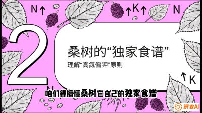 第04节：地下核动力&mdash;&mdash;桑树专用水肥一体化配方，课程：《桑海淘金：桑树高产与蚕桑安全进阶实战课》