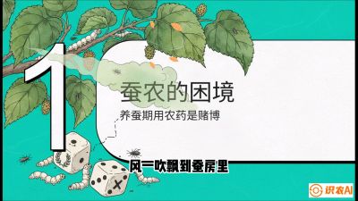 第06节：虫口夺叶（上）&mdash;&mdash;物理与生物防控绝技，课程《桑海淘金：桑树高产与蚕桑安全进阶实战课》