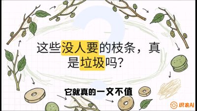 第12节：变废为宝&mdash;&mdash;循环农业实操，课程：《桑海淘金：桑树高产与蚕桑安全进阶实战课》