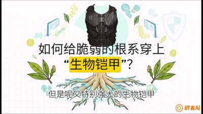 第三节：国产榴莲突围战：根系堡垒，菌根微生态构建与黄金定植窗口，课程：《国产榴莲突围战：从泰国经验到中国实操的8堂必修课（高阶实战版）》