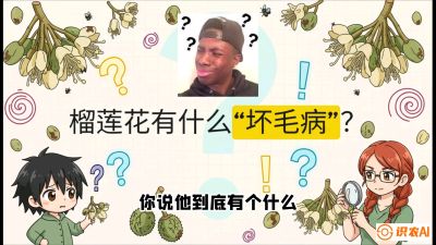 第六节：榴莲的午夜战事，夜间授粉战与花果期避雨策略，课程：《国产榴莲突围战：从泰国经验到中国实操的8堂必修课（高阶实战版）》