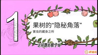 第3节：无人机专治&ldquo;打不透&rdquo;&mdash;&mdash;果树与高杆作物的穿透技巧，课程：《无人机植保搞钱必修课：从&ldquo;瞎飞&rdquo;到&ldquo;懂行&rdquo;的6步进阶》