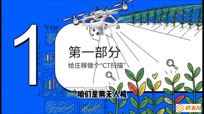 第5节：无人机也能&ldquo;看病抓药&rdquo;&mdash;&mdash;处方图与变量施肥入门，课程：《无人机植保搞钱必修课：从&ldquo;瞎飞&rdquo;到&ldquo;懂行&rdquo;的6步进阶》