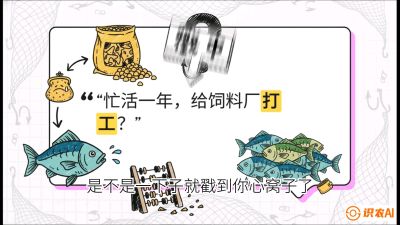 第一节：【选品与规划】如果不养&ldquo;四大家鱼&rdquo;，我们还能养什么？,课程：《黄金鳞甲：2025中国淡水鱼高效养殖实战营》