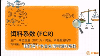 第五节：【高端单品&middot;鳜鱼】&ldquo;饲料鳜&rdquo;技术：打破吃活饵的高成本魔咒，课程：《黄金鳞甲：2025中国淡水鱼高效养殖实战营》