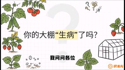 第2节（解毒篇）： 大棚里的&ldquo;红白绿&rdquo;警报&mdash;&mdash;读懂土壤盐渍化的求救信号，课程：《揭秘土壤的秘密：让土地帮你赚钱》#识农AI