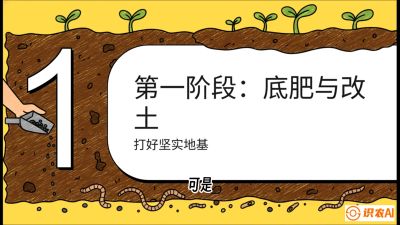 第6节（统筹篇）： 省钱又增产的&ldquo;黄金配比&rdquo;&mdash;&mdash;不同作物全年的养土实操方案，课程：《揭秘土壤的秘密：让土地帮你赚钱》#识农AI