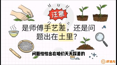 第02节（土肥篇）：告别&ldquo;苦涩水味&rdquo;：揭秘&ldquo;碳氮比&rdquo;调控术，种出自带兰花香的好茶底，课程：《茶金时代：从&ldquo;看天吃饭&rdquo;到&ldquo;精准控局&rdquo;的茶叶高产提质实战课》