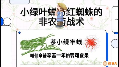 第03节（虫害篇）：看不见的吸血鬼：小绿叶蝉与红蜘蛛的&ldquo;非农药&rdquo;团灭战术（抗性治理），课程：《茶金时代：从&ldquo;看天吃饭&rdquo;到&ldquo;精准控局&rdquo;的茶叶高产提质实战课》