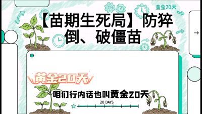 第2节：【苗期生死局】防猝倒、破僵苗，决定后期产量的&ldquo;黄金20天&rdquo;，课程：《辣椒种植实战特训营，从工业辣椒到精品小米辣，教你如何把&ldquo;草&rdquo;种成&ldquo;金&rdquo;》