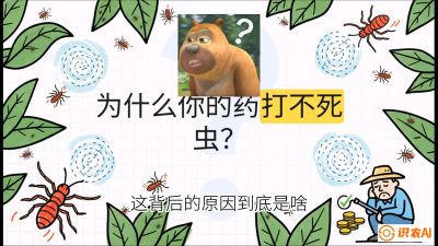 第4节：【虫害歼灭战】打不死的蓟马、隐形的茶黄螨：抗性时代的&ldquo;混配绝杀&rdquo;，课程：《辣椒种植实战特训营，从工业辣椒到精品小米辣，教你如何把&ldquo;草&rdquo;种成&ldquo;金&rdquo;》