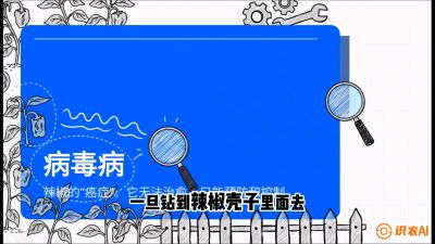 第5节：【病毒病阻击】辣椒的&ldquo;癌症&rdquo;怎么治？从&ldquo;绝收恐慌&rdquo;到&ldquo;带毒生产&rdquo;的逆转术，课程：《辣椒种植实战特训营，从工业辣椒到精品小米辣，教你如何把&ldquo;草&rdquo;种成&ldquo;金&rdquo;》