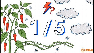 第6节：【花果爆发术】落花落果的五大元凶，与&ldquo;三喷一保&rdquo;坐果黑科技，课程：《辣椒种植实战特训营，从工业辣椒到精品小米辣，教你如何把&ldquo;草&rdquo;种成&ldquo;金&rdquo;》