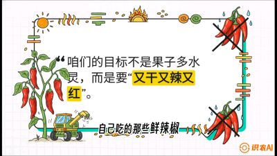 第7节：【工业辣椒专场】追求极致辣度！干物质提升与机械化采收的&ldquo;催红秘籍&rdquo;，课程：《辣椒种植实战特训营，从工业辣椒到精品小米辣，教你如何把&ldquo;草&rdquo;种成&ldquo;金&rdquo;》