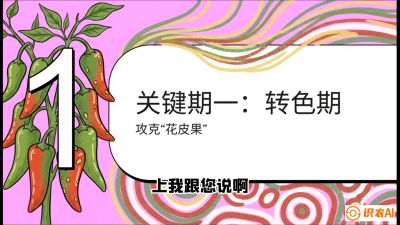 第8节：【小米辣线椒专场】颜值即正义！防花皮、防炭疽，打造收购商抢着要的&ldquo;精品果&rdquo;，课程：《辣椒种植实战特训营，从工业辣椒到精品小米辣，教你如何把&ldquo;草&rdquo;种成&ldquo;金&rdquo;》