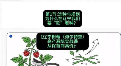 第一节： 选种与规划&mdash;&mdash;为什么在辽宁我们要&ldquo;砍&rdquo;着种？，课程：《辽宁树莓（海尔特兹）高产避坑实战课：从保苗到高价》