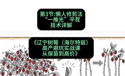 第三节： 懒人修剪法&mdash;&mdash;&ldquo;一推光&rdquo;平茬技术详解，课程：《辽宁树莓（海尔特兹）高产避坑实战课：从保苗到高价》