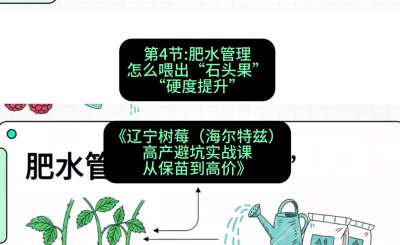 第四节： 肥水管理&mdash;&mdash;怎么喂出&ldquo;石头果&rdquo;（硬度提升），课程：《辽宁树莓（海尔特兹）高产避坑实战课：从保苗到高价》