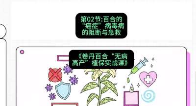 第02节：百合的&ldquo;癌症&rdquo;&mdash;&mdash;病毒病的阻断与急救，课程：《卷丹百合&ldquo;无病高产&rdquo;植保实战课》#识农AI