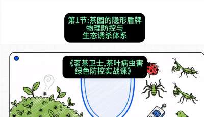 第01节：茶园的&ldquo;隐形盾牌&rdquo;&mdash;&mdash;物理防控与生态诱杀体系，课程：《茗茶卫士&mdash;&mdash;茶叶病虫害绿色防控实战课》#识农AI