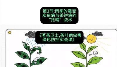 第03节：雨季的霉变&mdash;&mdash;炭疽病与茶饼病的&ldquo;抢晴&rdquo;战术，课程：《茗茶卫士&mdash;&mdash;茶叶病虫害绿色防控实战课》#识农AI