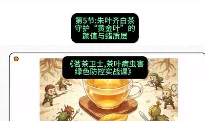 第05节：朱叶齐白茶&mdash;&mdash;守护&ldquo;黄金叶&rdquo;的颜值与蜡质层（重点），课程：《茗茶卫士&mdash;&mdash;茶叶病虫害绿色防控实战课》#识农AI