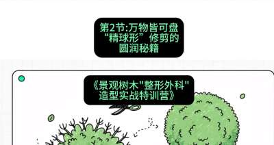 第02节：万物皆可盘&mdash;&mdash;&ldquo;精球形&rdquo;修剪的圆润秘籍，课程：《景观树木&ldquo;整形外科&rdquo;造型实战特训营》#识农AI