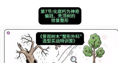 第07节：化腐朽为神奇&mdash;&mdash;偏冠、秃顶树的修复整形，课程：《景观树木&ldquo;整形外科&rdquo;造型实战特训营》#识农AI