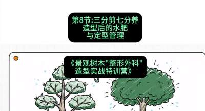第08节：三分剪七分养&mdash;&mdash;造型后的水肥与定型管理，课程：《景观树木&ldquo;整形外科&rdquo;造型实战特训营》#识农AI