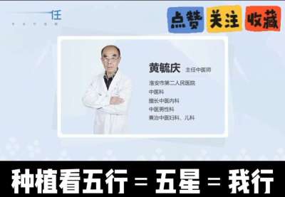 中药材淫羊藿怎么种？听专家一次讲明白！不挑地块好管理，耐寒耐旱省心省力，新手也能轻松上手，药用价值高、市场需求稳，妥妥的增收好品种～ 从生长习性到采收要点，干货满满无废话，种植疑问直接问，一对一答疑解