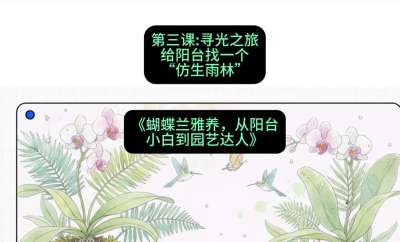 第三节：寻光之旅：给阳台找一个&ldquo;仿生雨林&rdquo;，课程：《蝴蝶兰雅养六讲：从阳台小白到园艺达人》#识农AI
