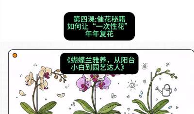 第四节：催花秘籍：如何让&ldquo;一次性花&rdquo;年年复花，课程：《蝴蝶兰雅养六讲：从阳台小白到园艺达人》#识农AI