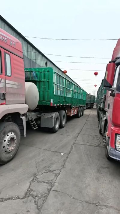 2月23号，源沃肥业排队装车中