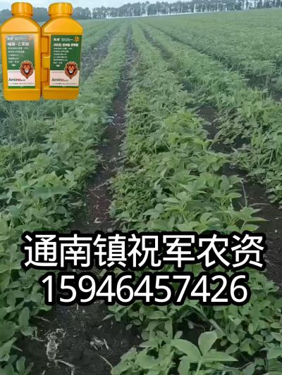 大豆苗前封闭，可封红根苋菜，灰菜，兰花菜，野豆子，捞豆秧等恶性杂草，封杀兼备的高端产品。