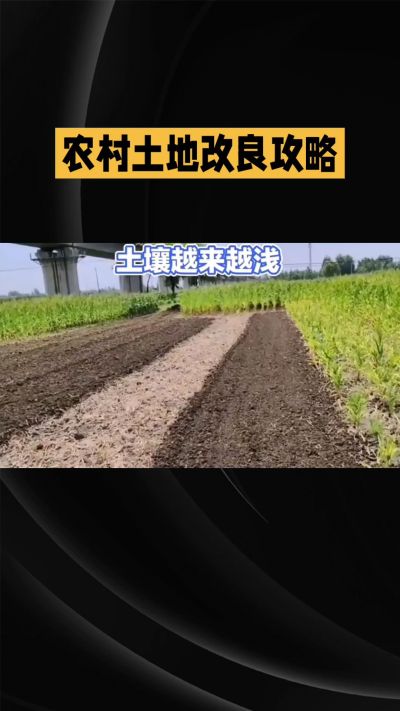 1. 先搞懂：你到底要改良哪块地、种什么
 
- 土土土在哪里？
就是你自家农田、菜地、果园，哪块地想种庄稼，就测哪块地的土。
​
- 有水没有水？
有水能浇：改良更省事，施肥、调酸碱都好操作。
没水